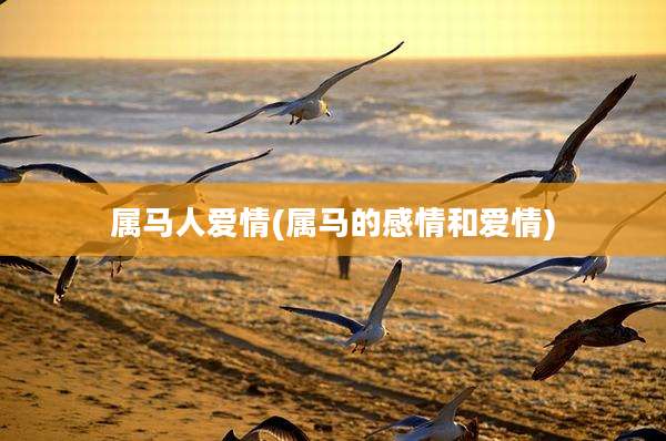 属马人爱情(属马的感情和爱情)