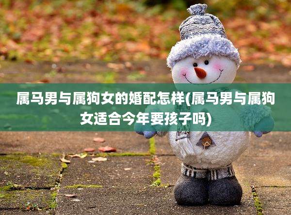 属马男与属狗女的婚配怎样(属马男与属狗女适合今年要孩子吗)