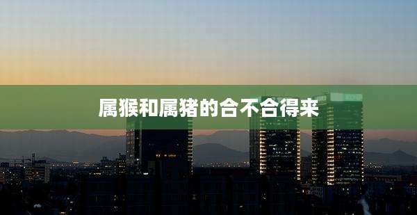 属猴和属猪的合不合得来