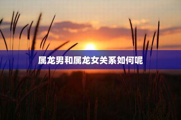 属龙男和属龙女关系如何呢