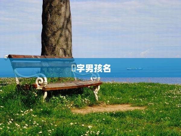 渃字男孩名