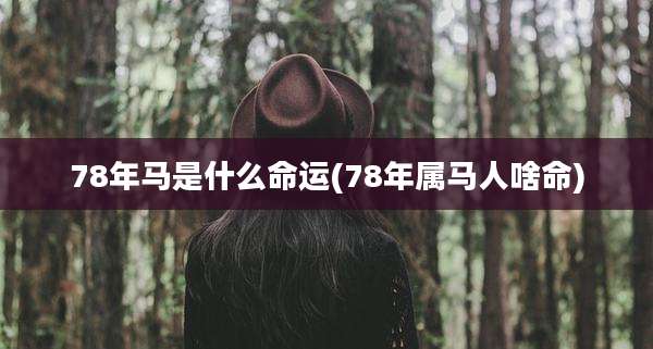 78年马是什么命运(78年属马人啥命)
