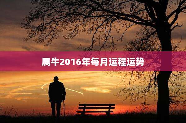 属牛2016年每月运程运势