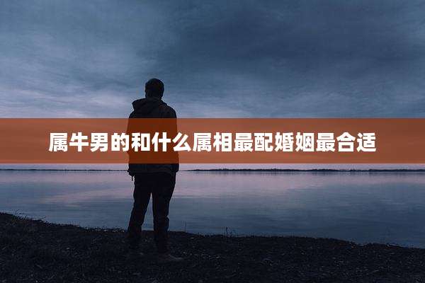 属牛男的和什么属相最配婚姻最合适