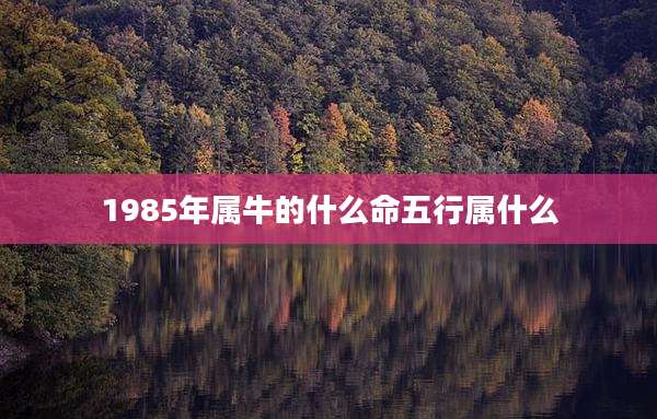 1985年属牛的什么命五行属什么