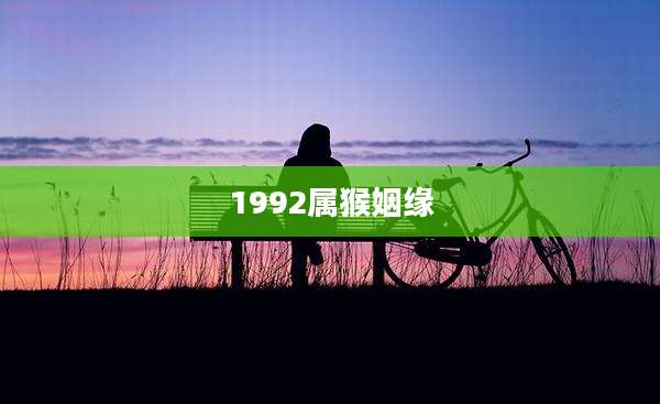 1992属猴姻缘