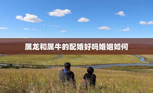 属龙和属牛的配婚好吗婚姻如何