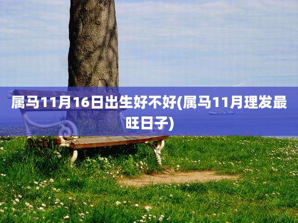 属马11月16日出生好不好(属马11月理发最旺日子)