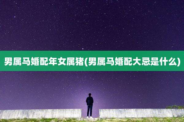 男属马婚配年女属猪(男属马婚配大忌是什么)