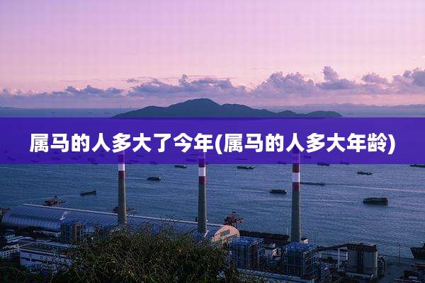属马的人多大了今年(属马的人多大年龄)