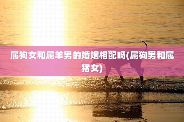 属狗女和属羊男的婚姻相配吗(属狗男和属猪女)