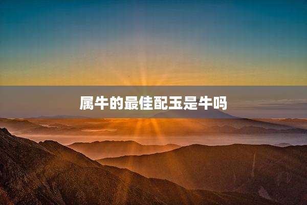 属牛的最佳配玉是牛吗