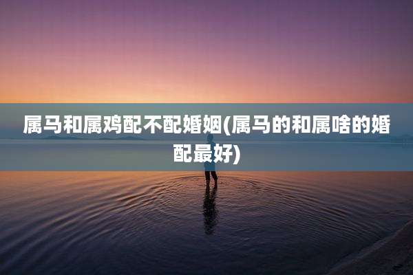 属马和属鸡配不配婚姻(属马的和属啥的婚配最好)