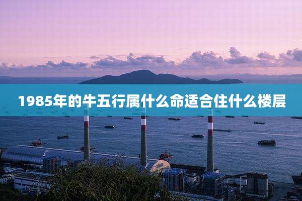 1985年的牛五行属什么命适合住什么楼层