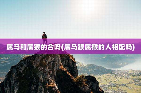 属马和属猴的合吗(属马跟属猴的人相配吗)