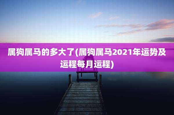 属狗属马的多大了(属狗属马2021年运势及运程每月运程)