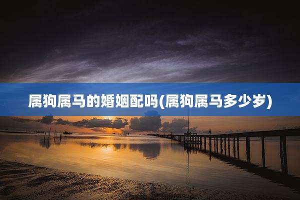 属狗属马的婚姻配吗(属狗属马多少岁)