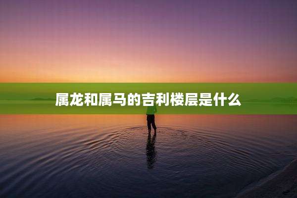 属龙和属马的吉利楼层是什么