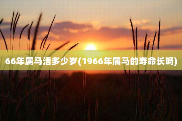 66年属马活多少岁(1966年属马的寿命长吗)