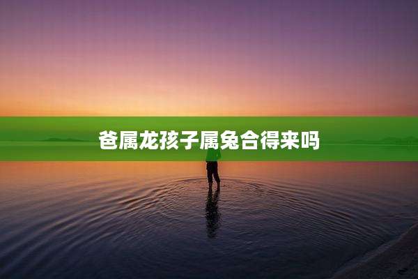 爸属龙孩子属兔合得来吗