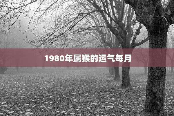 1980年属猴的运气每月
