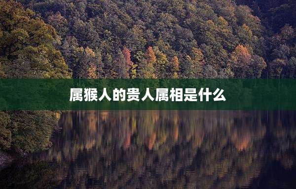 属猴人的贵人属相是什么