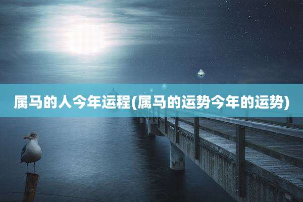 属马的人今年运程(属马的运势今年的运势)