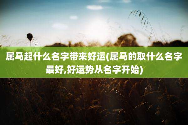 属马起什么名字带来好运(属马的取什么名字最好,好运势从名字开始)