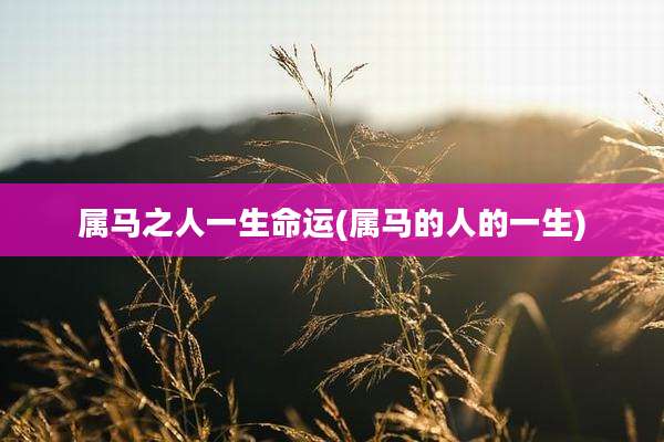 属马之人一生命运(属马的人的一生)