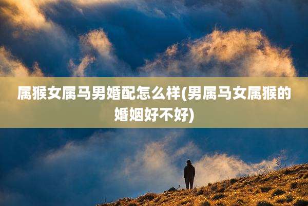 属猴女属马男婚配怎么样(男属马女属猴的婚姻好不好)