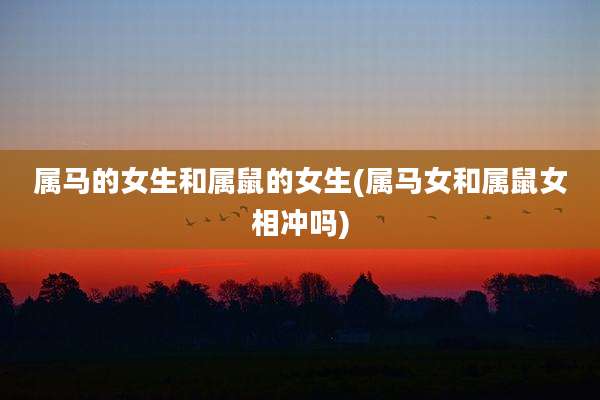 属马的女生和属鼠的女生(属马女和属鼠女相冲吗)