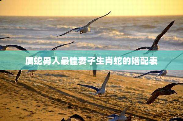 属蛇男人最佳妻子生肖蛇的婚配表