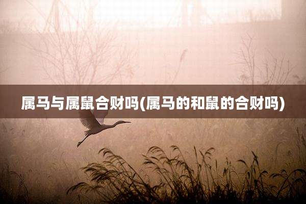 属马与属鼠合财吗(属马的和鼠的合财吗)