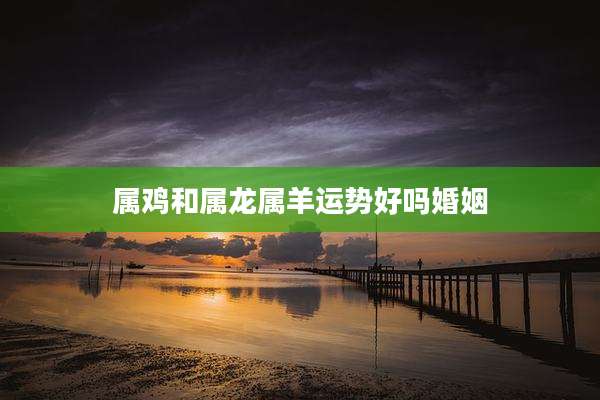 属鸡和属龙属羊运势好吗婚姻