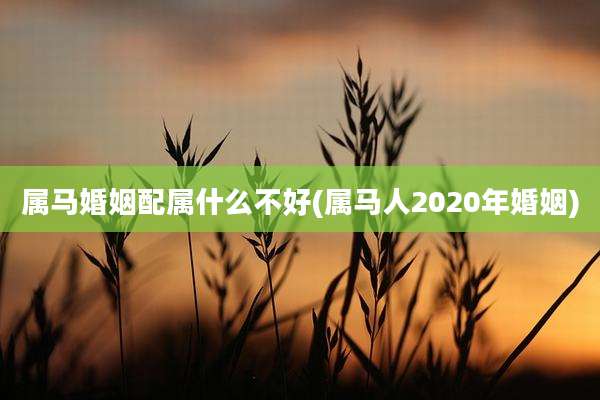 属马婚姻配属什么不好(属马人2020年婚姻)