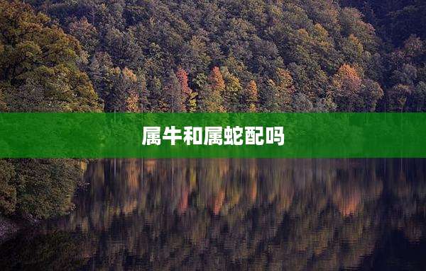 属牛和属蛇配吗