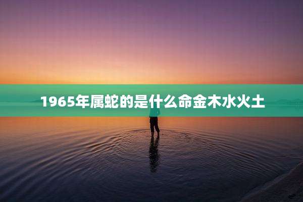 1965年属蛇的是什么命金木水火土
