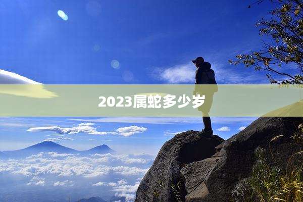 2023属蛇多少岁