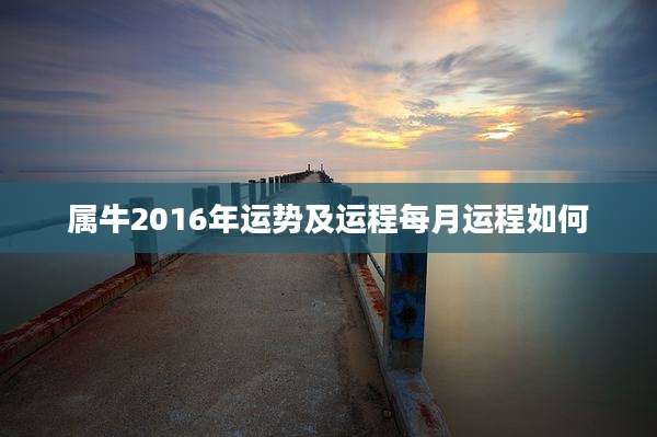 属牛2016年运势及运程每月运程如何