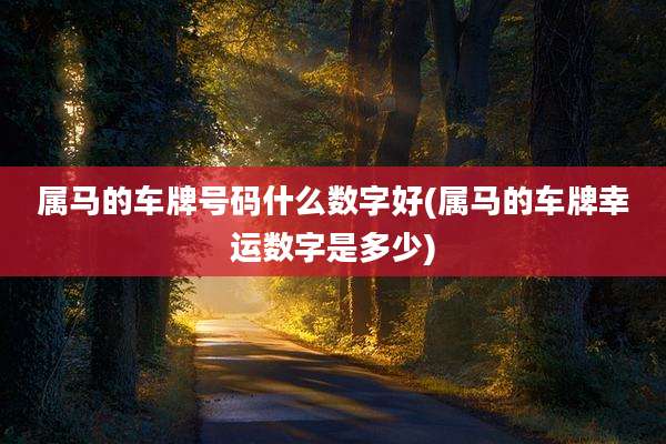 属马的车牌号码什么数字好(属马的车牌幸运数字是多少)