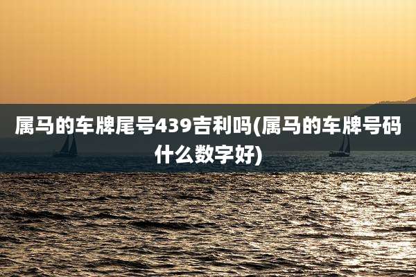属马的车牌尾号439吉利吗(属马的车牌号码什么数字好)
