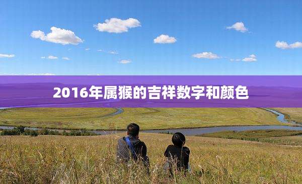 2016年属猴的吉祥数字和颜色