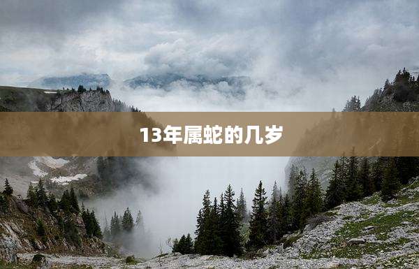 13年属蛇的几岁