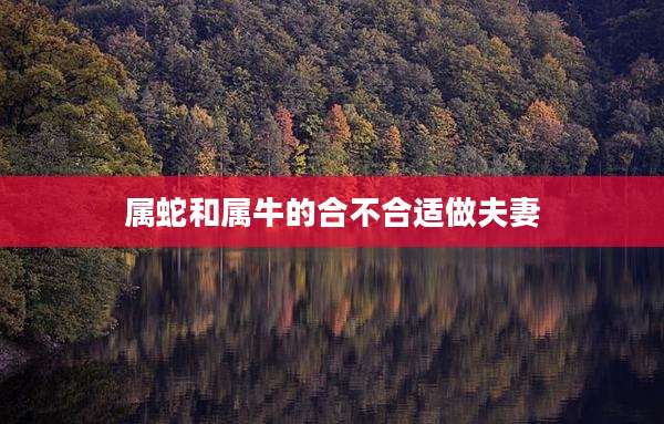 属蛇和属牛的合不合适做夫妻