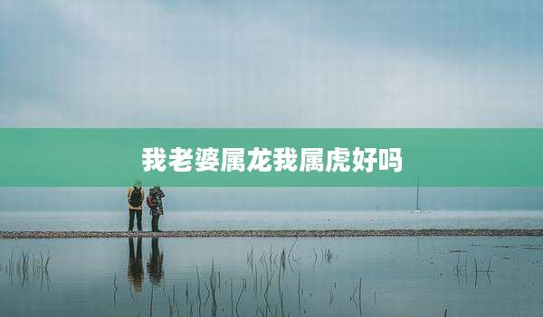 我老婆属龙我属虎好吗
