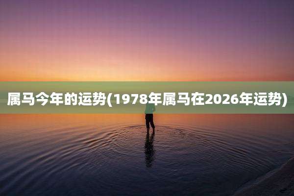 属马今年的运势(1978年属马在2026年运势)