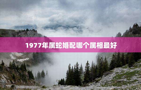 1977年属蛇婚配哪个属相最好