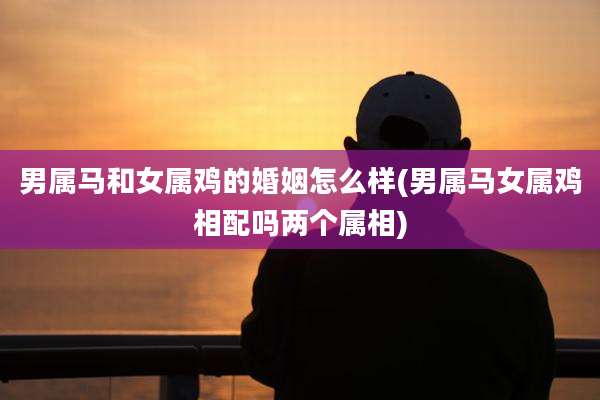 男属马和女属鸡的婚姻怎么样(男属马女属鸡相配吗两个属相)