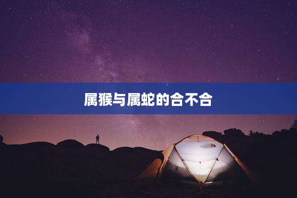 属猴与属蛇的合不合