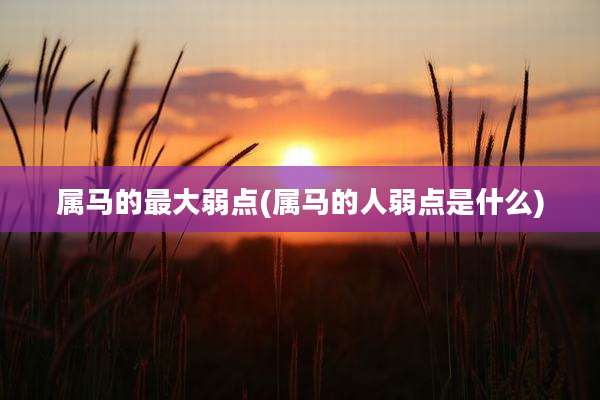 属马的最大弱点(属马的人弱点是什么)